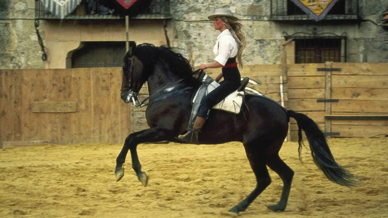 Bolero screenshot 7