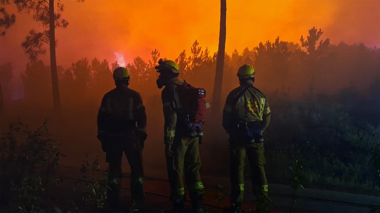 Lessons in Fire screenshot 1