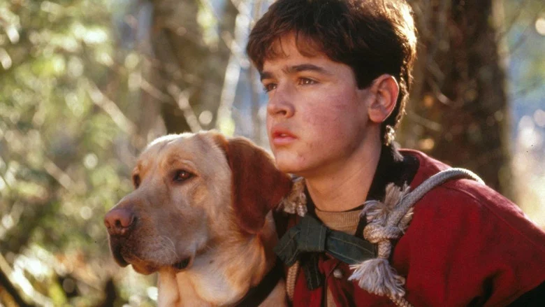 Far from Home: The Adventures of Yellow Dog screenshot 2