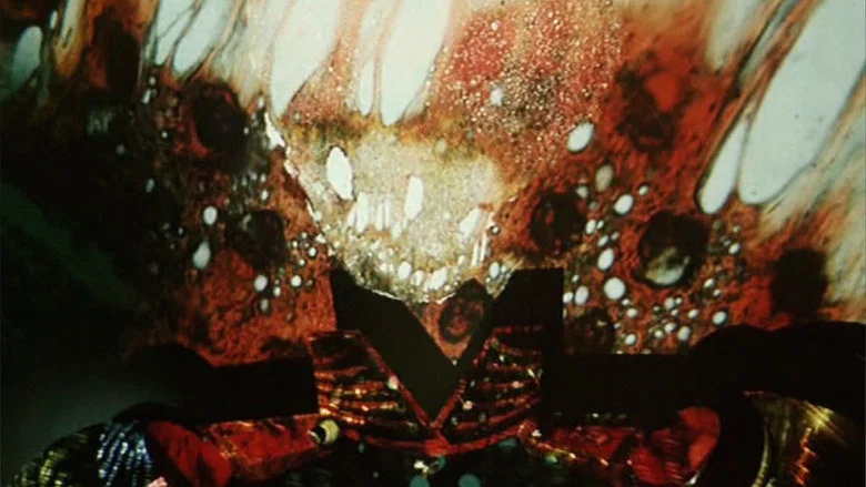 The Spirit of Witkacy screenshot 1