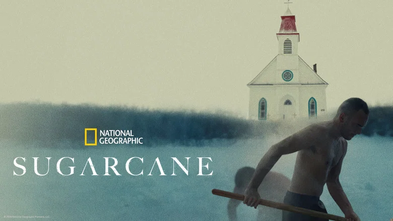 Sugarcane screenshot 8