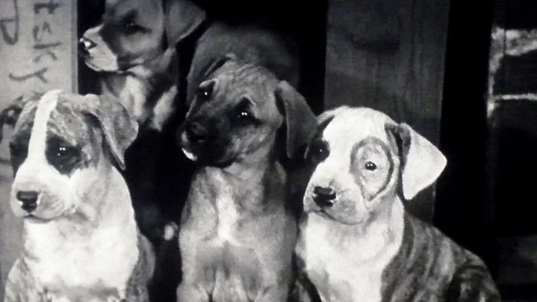 Pups Is Pups screenshot 1