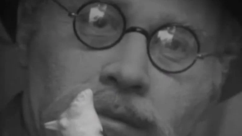 The Dove screenshot 3