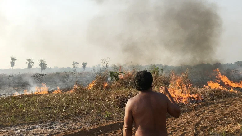 Fire in the Forest screenshot 1