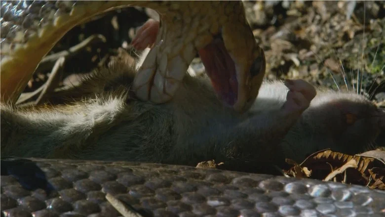 Snake Island: Wild & Deadly screenshot 5