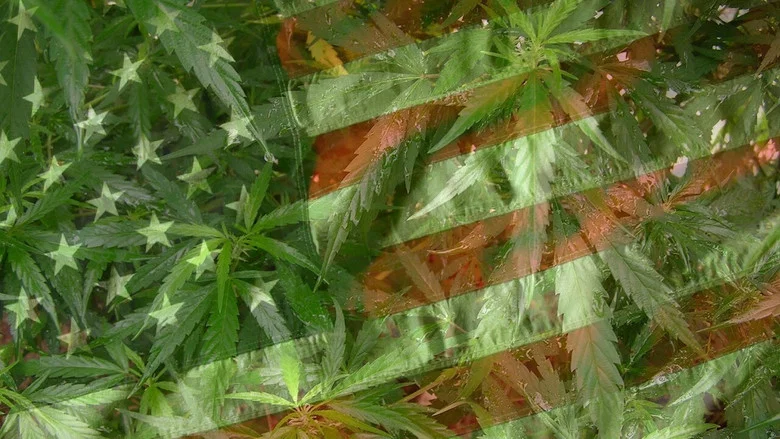Grass screenshot 2