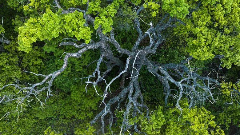 Wild Delta screenshot 5