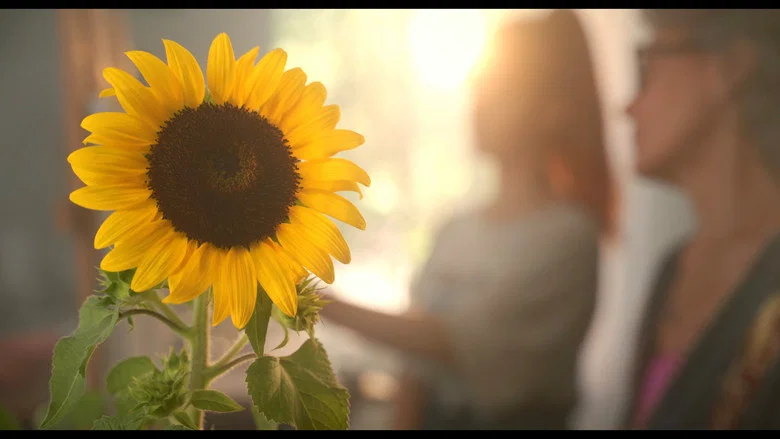 Sunflower screenshot 1