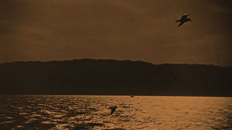 The Broken Butterfly screenshot 2