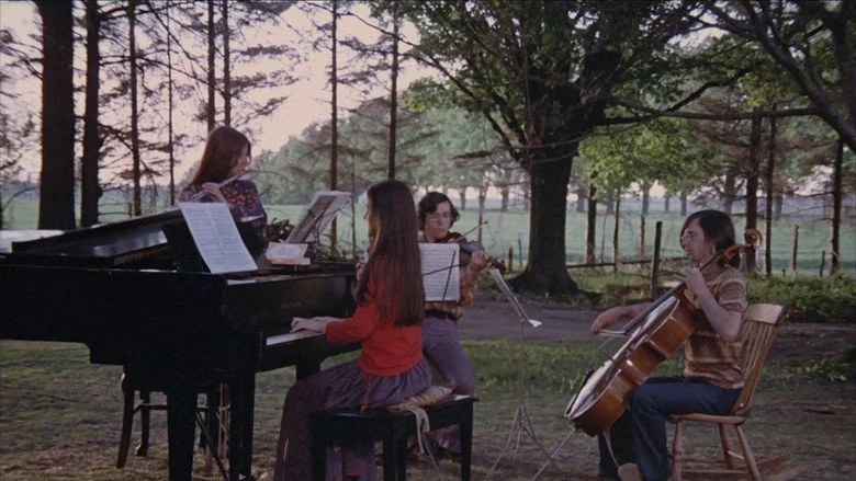 A Little Summermusik screenshot 1