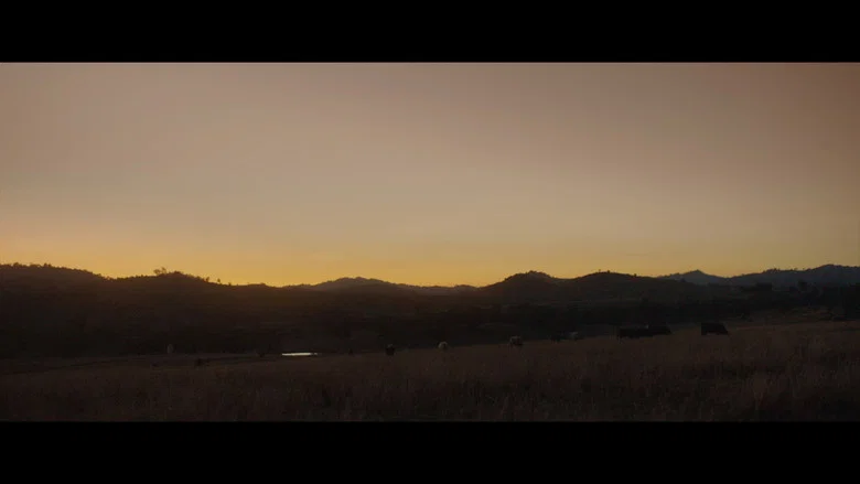 With the Cattle screenshot 2