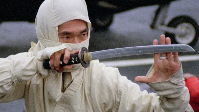 New York Ninja screenshot 3
