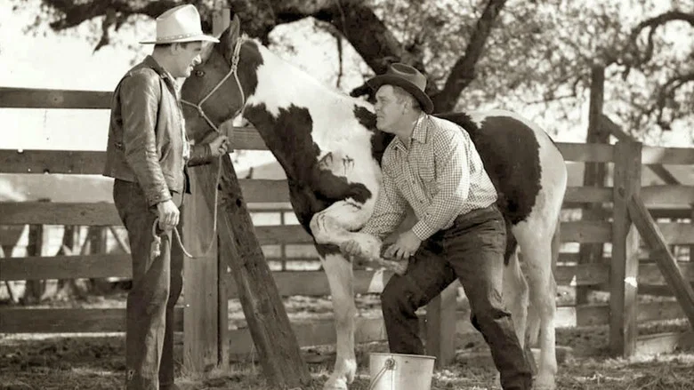 King of the Wild Horses screenshot 2