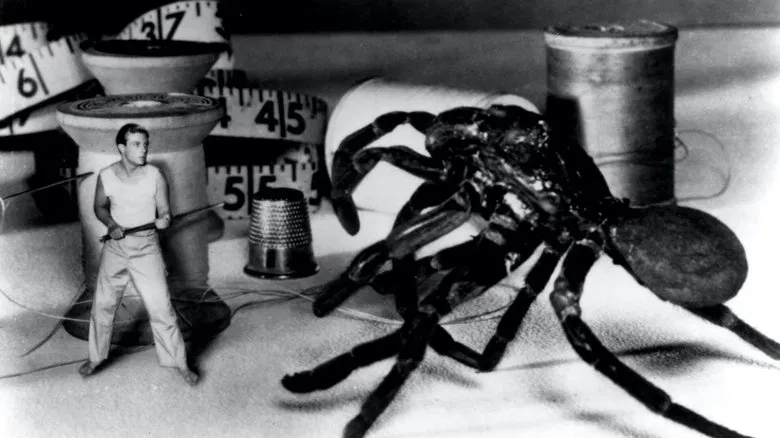The Incredible Shrinking Man screenshot 1