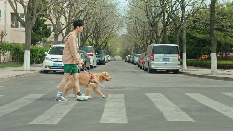 Adoring screenshot 6