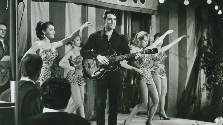 Roustabout screenshot 2