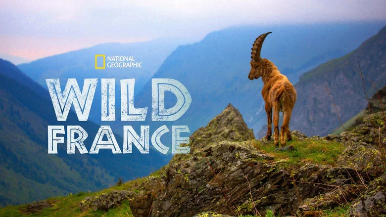 Wild France screenshot 1