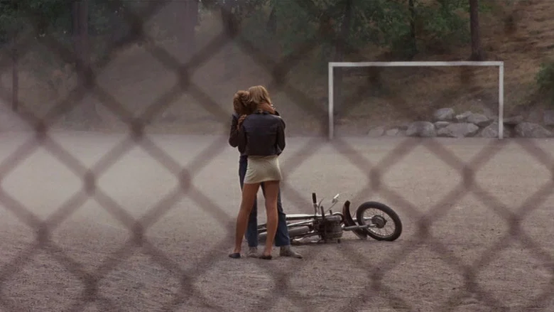 A Swedish Love Story screenshot 2