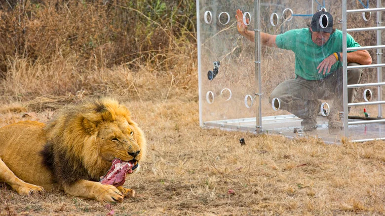 Man V. Lion screenshot 7