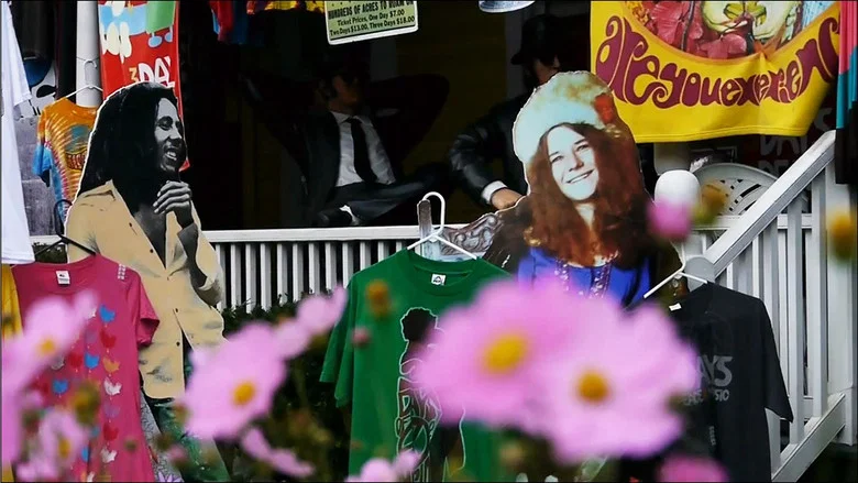 Albert Hofmann - Wahrnehmungen screenshot 1