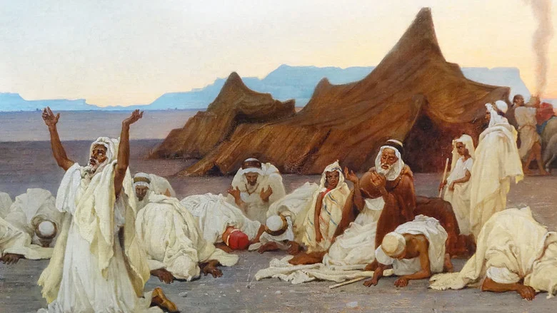 L'Algérie de Gustave Guillaumet (1840-1887) screenshot 5
