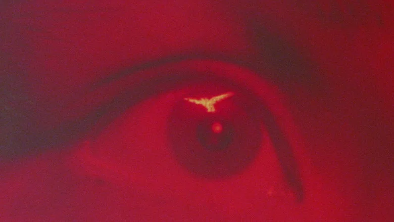 Bloody Parrot screenshot 2