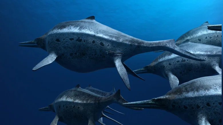 Sea Rex 3D: Journey to a Prehistoric World screenshot 2