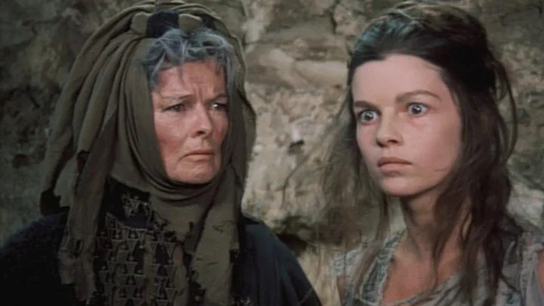 The Trojan Women screenshot 3