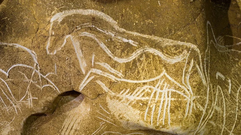 Grotte Chauvet - Dans les pas des artistes de la Préhistoire screenshot 4