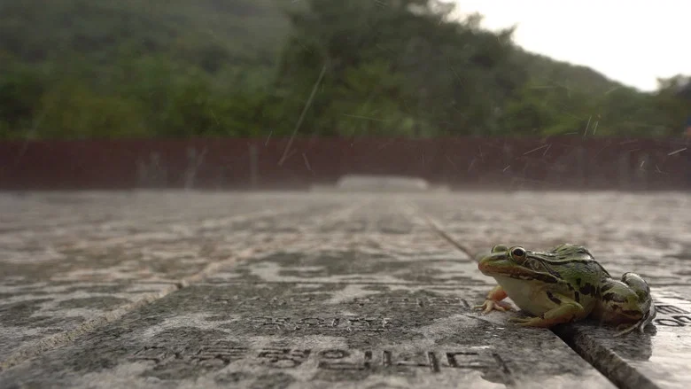 The Memory of Water screenshot 3