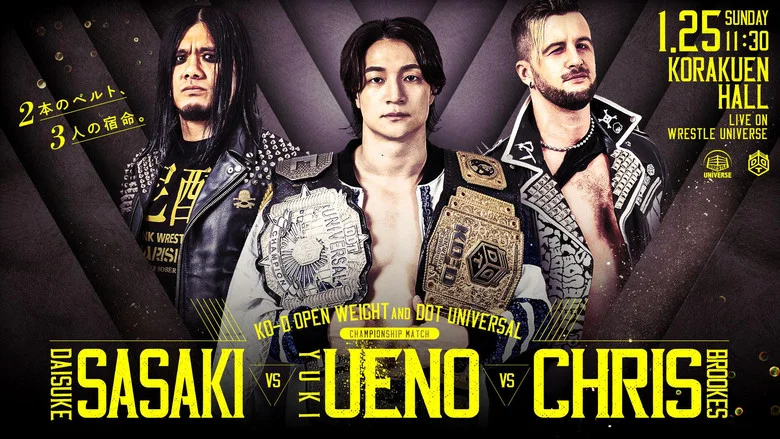 DDT Mission in Battle ~new year splendor~ screenshot 3