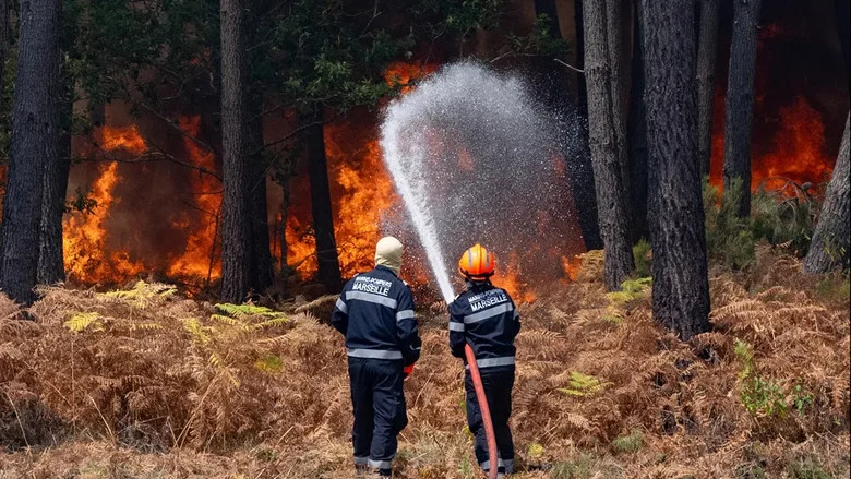 Sauvons nos Forêts screenshot 3