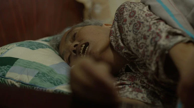 Mrs. Fang screenshot 4