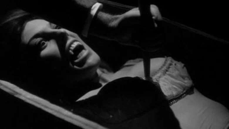 The Slaughter of the Vampires screenshot 2