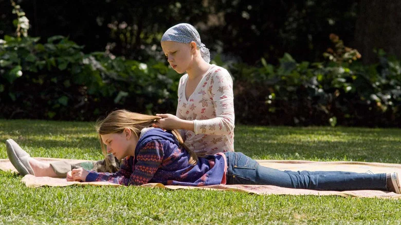 My Sister's Keeper screenshot 7