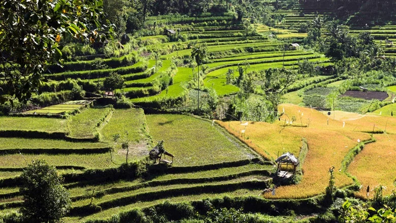 Tropenparadies Bali - Eine Perle Indonesiens screenshot 1