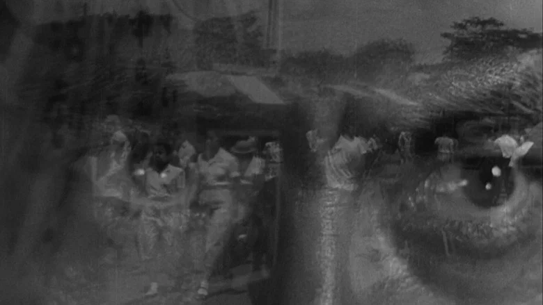 Stray Dog screenshot 5