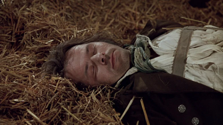 The Enigma of Kaspar Hauser screenshot 3
