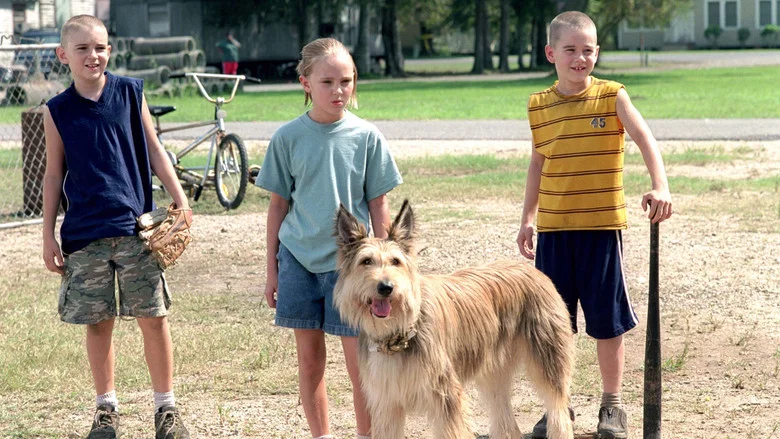 Because of Winn-Dixie screenshot 7