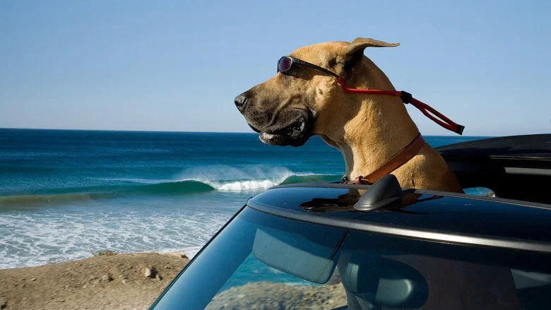 Marmaduke screenshot 1