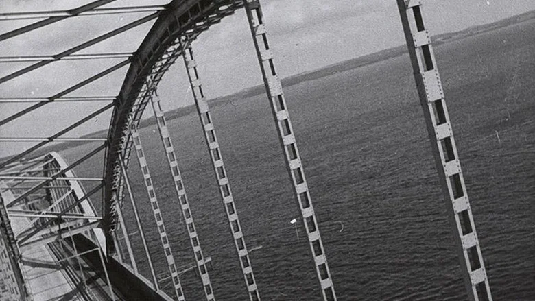 Storstrøm Bridge screenshot 1