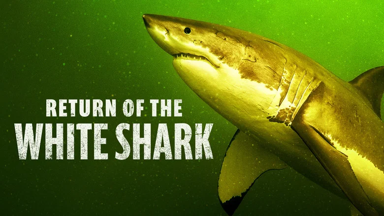 Return of the White Shark screenshot 3