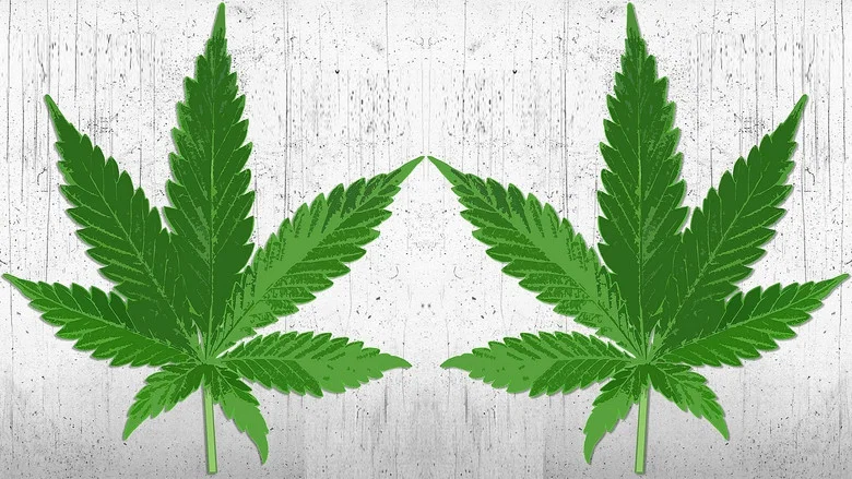 High There screenshot 1