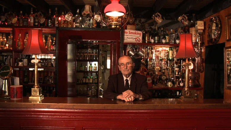 The Irish Pub screenshot 5
