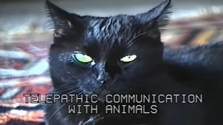 Telepathic Communication with Animals screenshot 1