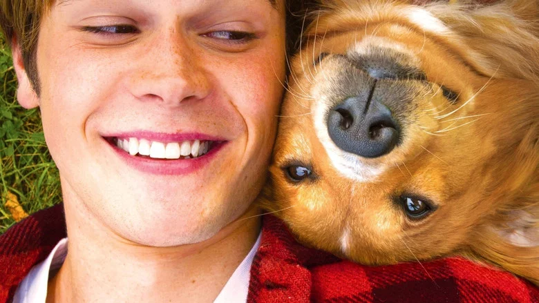 A Dog's Purpose screenshot 5