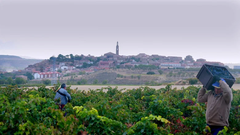 Rioja: The Land of a Thousand Wines screenshot 2