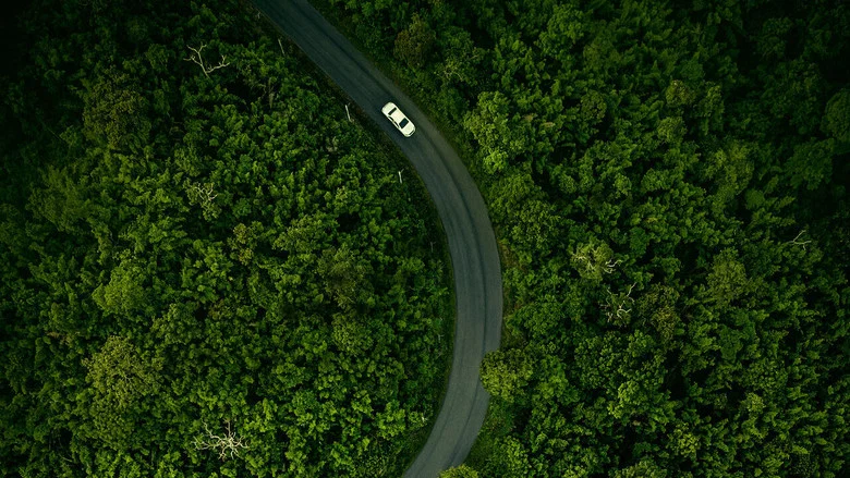Hillbilly Elegy screenshot 7