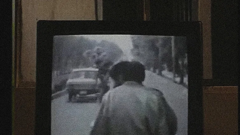 Close-Up Long Shot screenshot 4