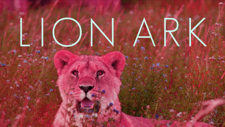 Lion Ark screenshot 2